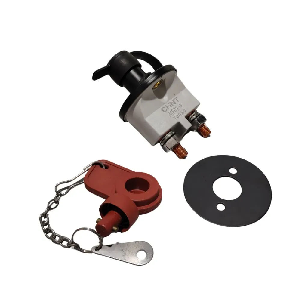 [803670733] Interruptor Principal de Energía